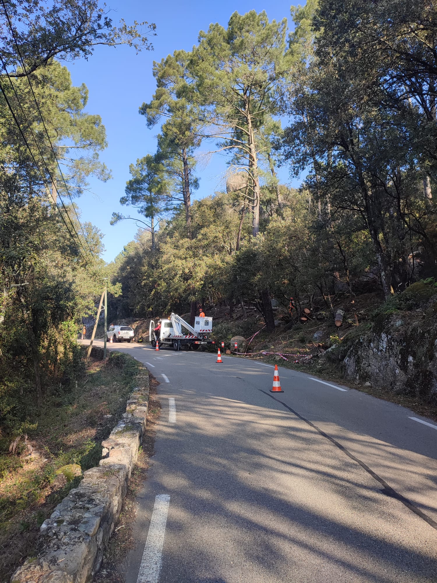 Chantier d'élagage avec nacelle élévatrice en bord de route forestière