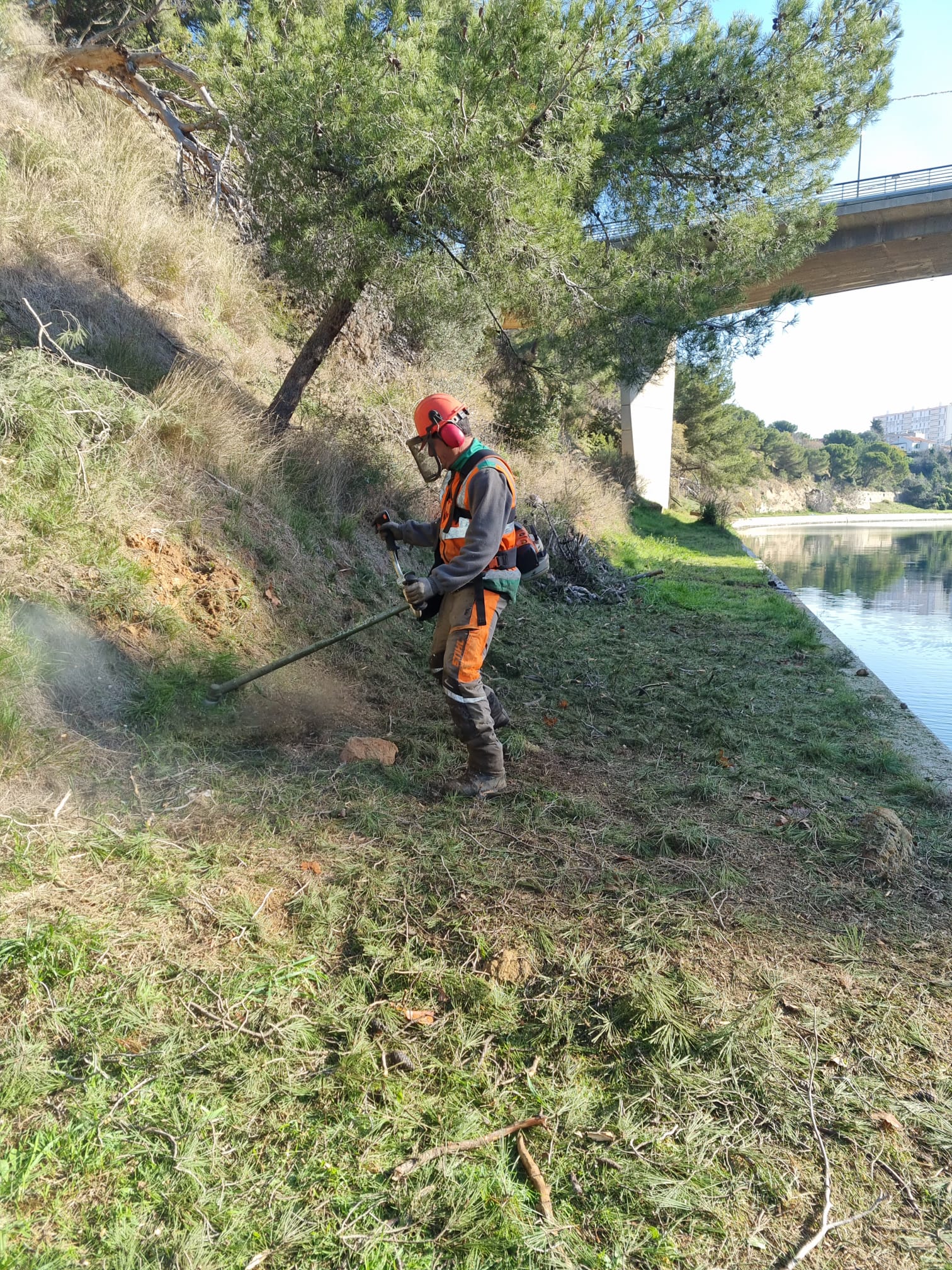 Ouvrier équipé effectuant du débroussaillage le long d'un cours d'eau